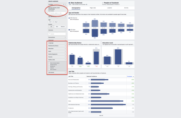 facebook audience insights for voter segmentation